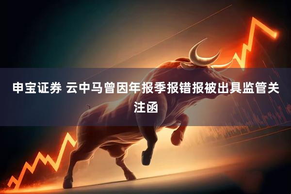 申宝证券 云中马曾因年报季报错报被出具监管关注函