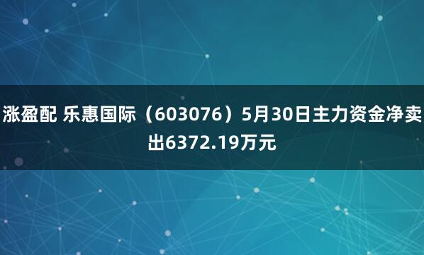涨盈配 乐惠国际（603076）5月30日主力资金净卖出6372.19万元