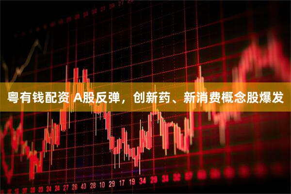 粤有钱配资 A股反弹，创新药、新消费概念股爆发
