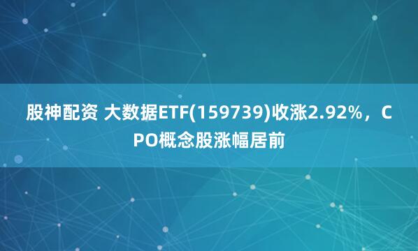 股神配资 大数据ETF(159739)收涨2.92%，CPO概念股涨幅居前