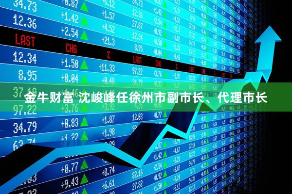 金牛财富 沈峻峰任徐州市副市长、代理市长