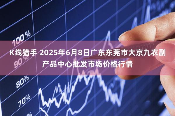 K线猎手 2025年6月8日广东东莞市大京九农副产品中心批发市场价格行情