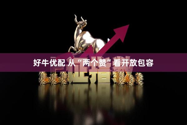 好牛优配 从“两个赞”看开放包容
