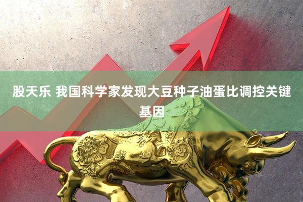 股天乐 我国科学家发现大豆种子油蛋比调控关键基因
