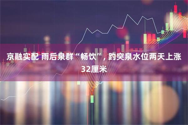 京融实配 雨后泉群“畅饮”, 趵突泉水位两天上涨32厘米